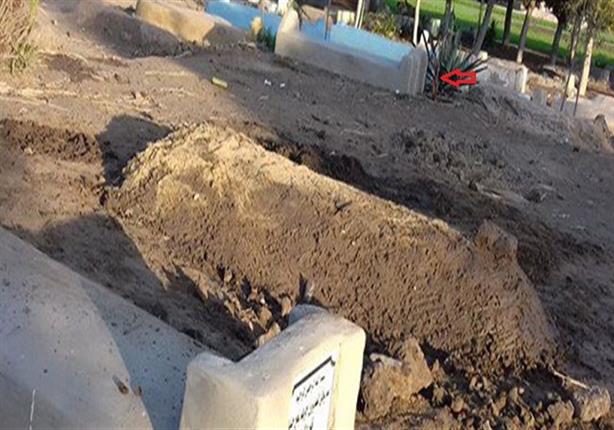 بالفيديو- مدفن "حبارة" يثير أزمة بسبب مقبرة أحد شهداء مذبحة رفح