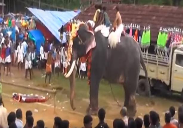 بالفيديو- فيل عملاق يدمر احتفال الهندوس بعيدهم ويرفع سيارة نقل بأنيابه