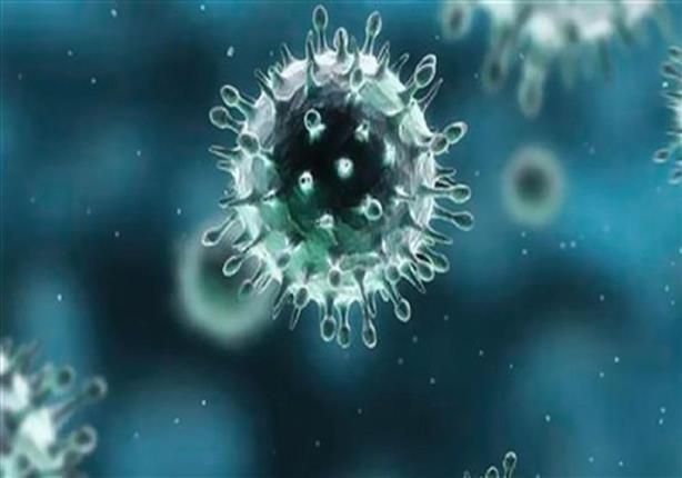 "الصحة": إجراءات وقائية مشددة للتصدي لفيروس كورونا