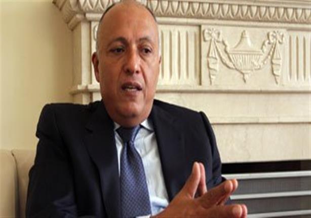 وزير الخارجية يكشف موقف أعضاء مجلس الأمن بشأن أزمة سد النهضة