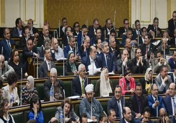 برلماني يثير دهشة الأعضاء أثناء كلمته بمجلس النواب - فيديو
