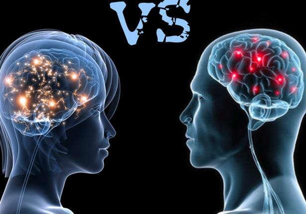الفرق بين مخ الرجل ومخ المرأة ومن منهما أكثر ذكاءً
