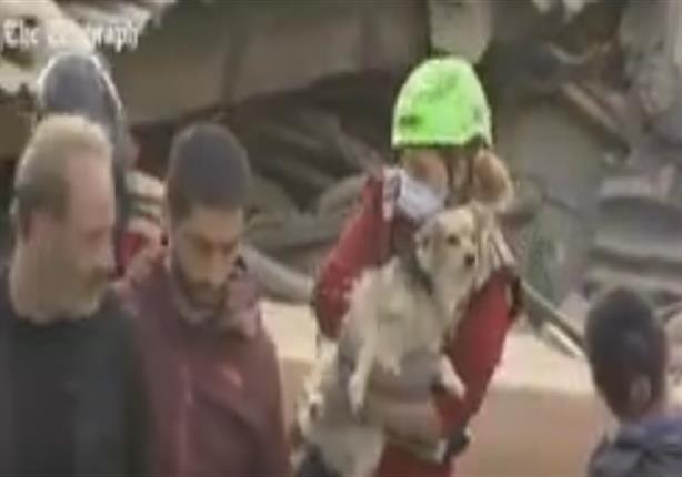 لحظة انقاذ كلب سقط بين الانقاد عقب زلزال ايطاليا  