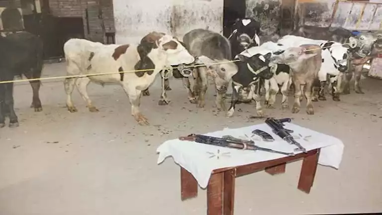 أرشيفية