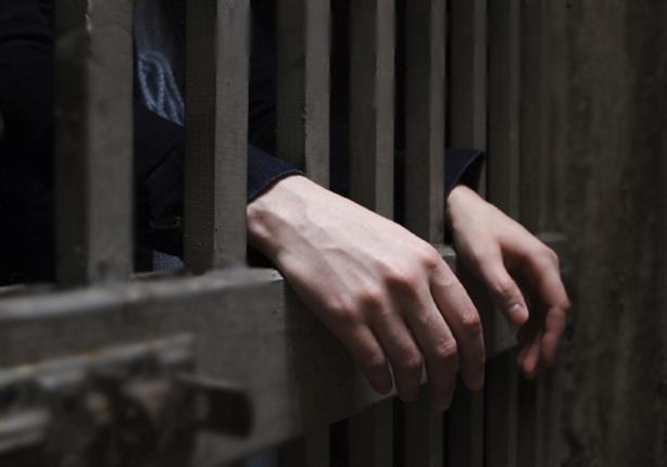 "الجنايات" تقضي بالسجن المشدد 3 سنوات لمتهم في قضية "خلية داعش سوريا"