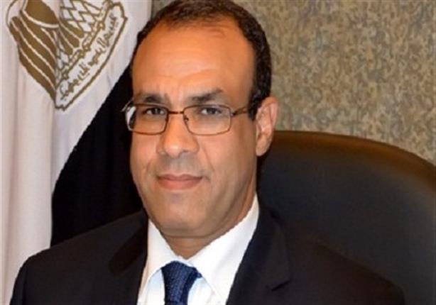 وزير الخارجية: مصر تبذل كل ما في وسعها لوقف نزيف الدم السوداني