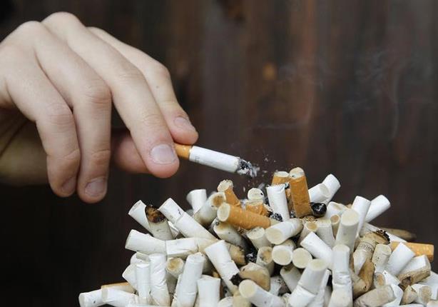 أستاذ بمعهد القلب يكشف مفاجأة عن السجائر التي تُباع في مصر 