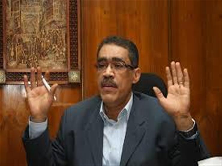 الهيئة العامة للإستعلامات: مصر لم تتحول بعد إلى دولة ديموقراطية بالشكل الكامل
