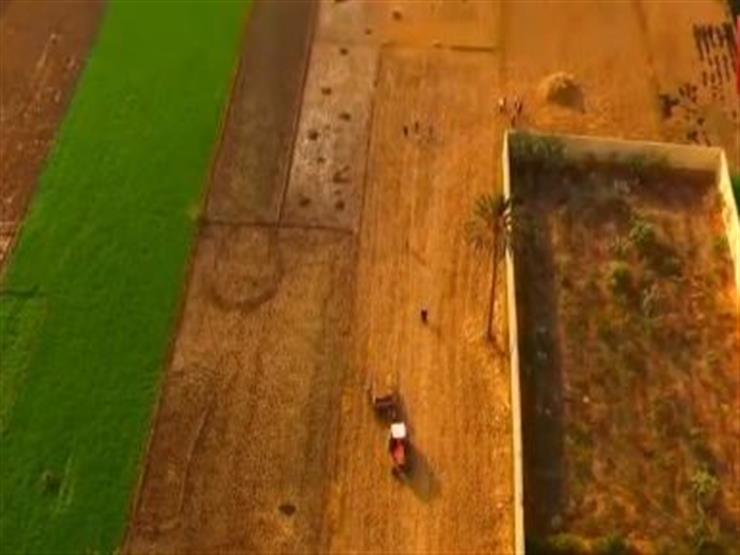 كاميرا "دورن" ترصد إطلالة علوية على حقول الأرز بمحافظة الشرقية