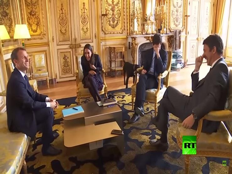 كلب الرئيس الفرنسي ماكرون يقاطع اجتماعا وزارياً بقصر الإليزيه