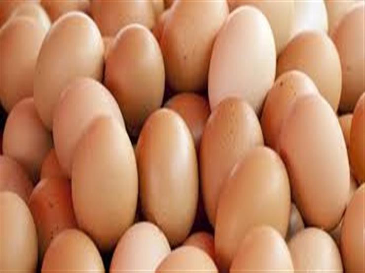 الزراعة: سحب البيض من التجار وعرضه على المواطنين بأسعار مخفضة