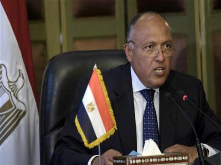 وزير الخارجية: العلاقة بين مصر وفرنسا ممتدة وتتميز بالخصوصية 