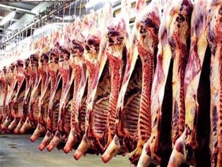 الزراعة: نستورد 70% من احتياجاتنا من اللحوم الحمراء
