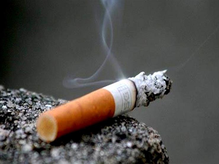 الشرقية للدخان: المصريون يدخنون 280 مليون سيجارة يوميًا -فيديو