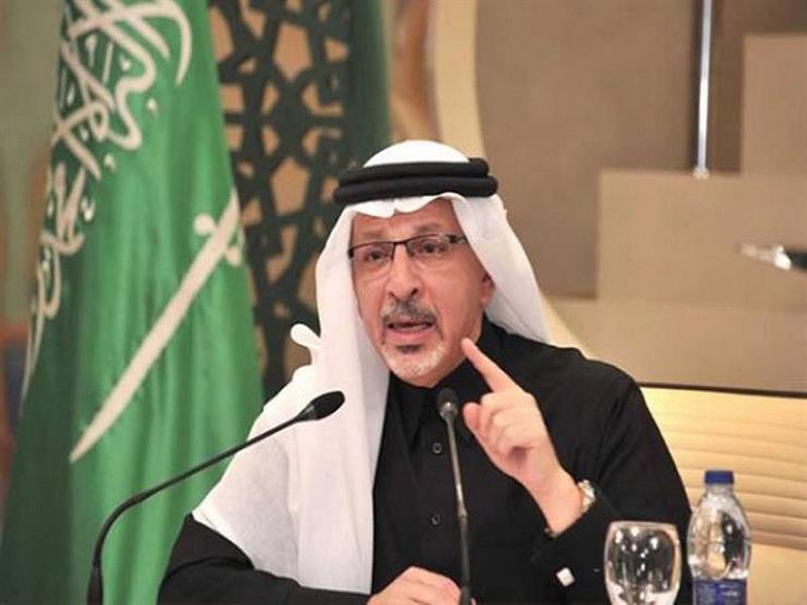 قطان: السعودية تقف بكل أمكانياتها مع مصر لمحاربة الإرهاب-فيديو