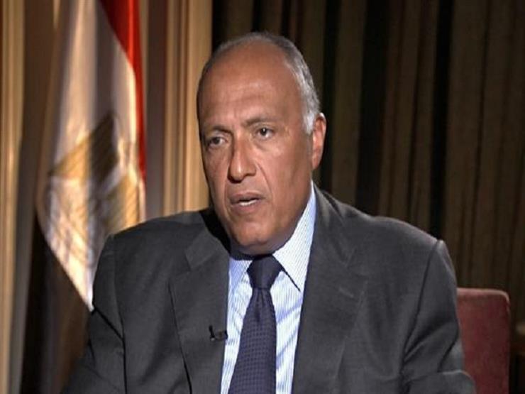 وزير الخارجية: مصر حرصت على استقطاب زعماء إفريقيا للمشاركة في المنتدى-فيديو