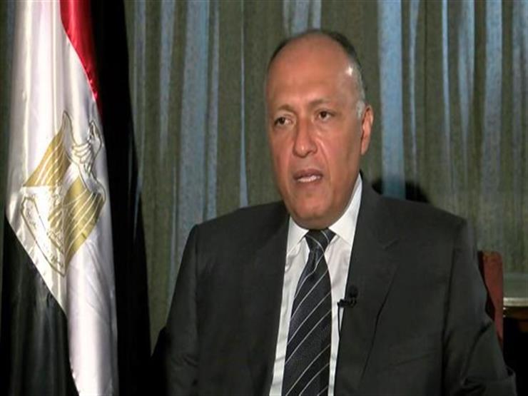 وزير الخارجية: مصر تستوعب الجميع