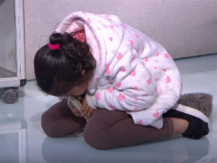 طفلة تُقبل تمساحاً على الهواء - فيديو