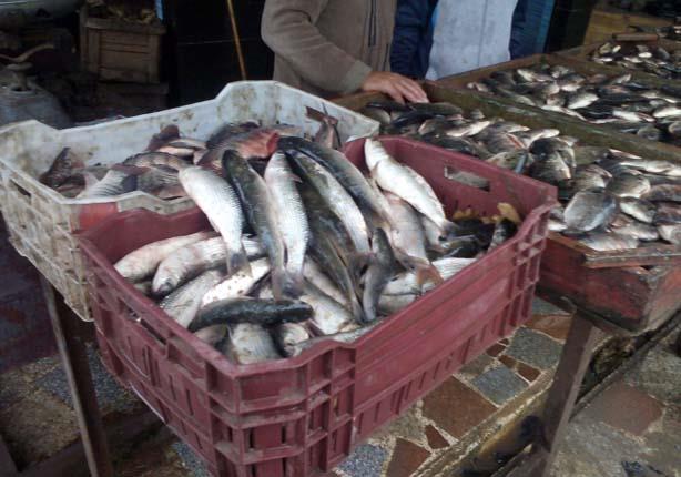 هل استجابت القاهرة لحملات مقاطعة الأسماك واللحوم والدواجن؟