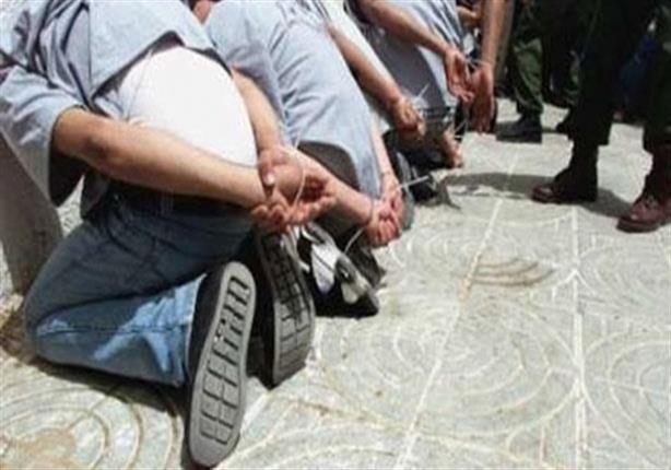 تشكيلات عصابية ارشيفية                            