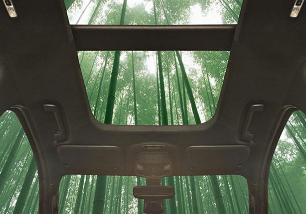 بالفيديو.. فورد تسعى لاستخدام أشجار "البامبو" في صناعة سياراتها