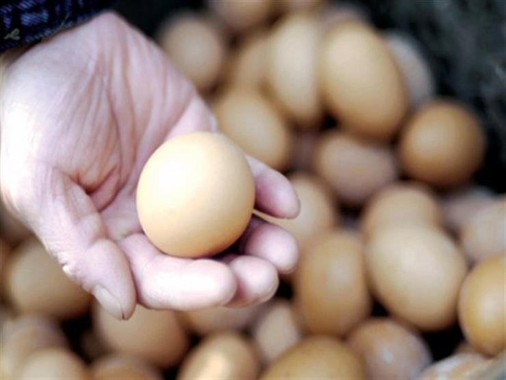 ارتفاع البيض البلدي اليوم الجمعة في الأسواق (موقع رسمي)