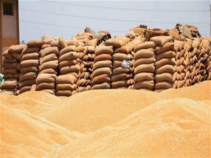 تركيا ترسل 400 طن من القمح والمواد الغذائية إلى لبنان تركيا ترسل 400 طن من القمح والمواد الغذائية إلى لبنان