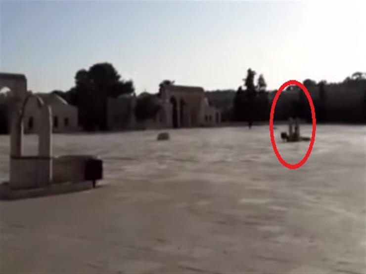 لحظة مقتل شاب فلسطيني بباحة المسجد الأقصى - فيديو