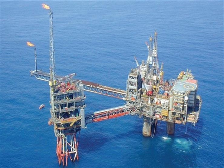 وزير البترول الأسبق يكشف حقيقة استيراد الغاز المسال من قطر - فيديو