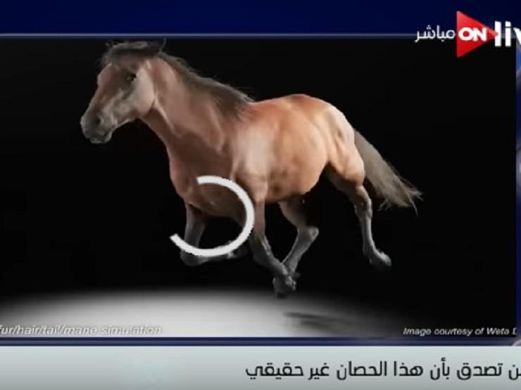 فيديو لكيفية بناء جسم حصان ليظهر في السينما والألعاب وكأنه حقيقي  