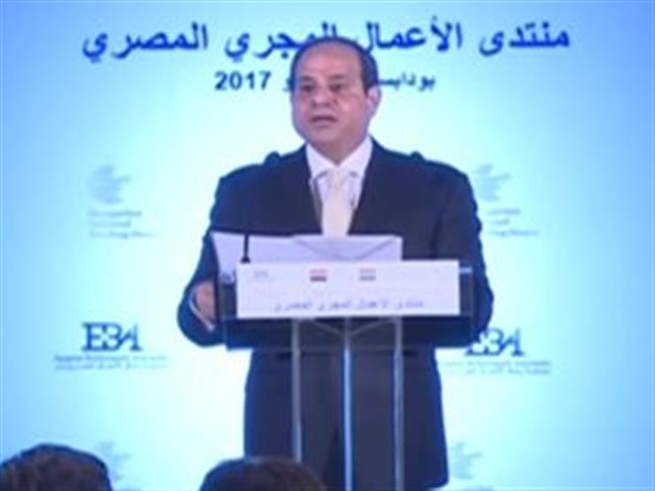 السيسي يدعو الشركات والأفراد إلى الاستثمار في مصر