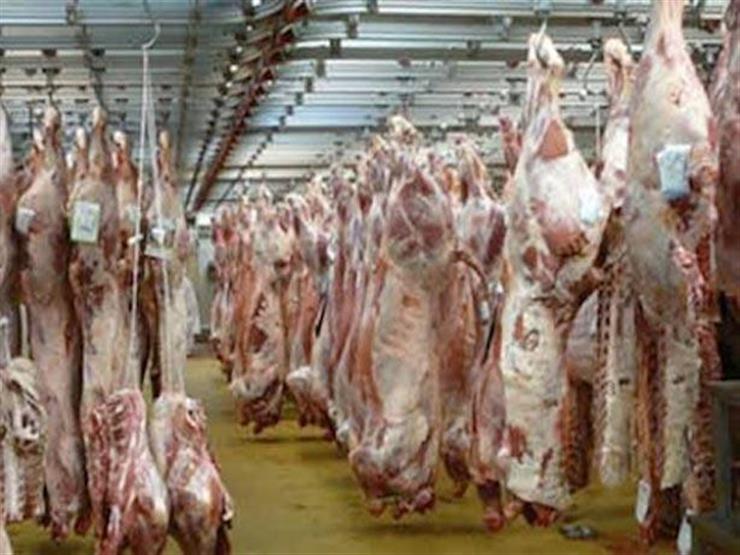 الزراعة: المجازر الآلية الجديدة ستوفر كميات أكبر من اللحوم