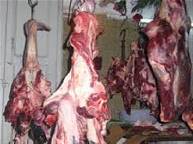 التموين: طرح اللحوم السودانية ب85 جنيه واللحوم الضاني ب75