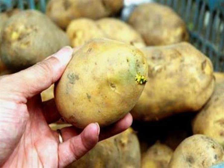تحذير من تناول البطاطس الخضراء بسبب "السولانين"