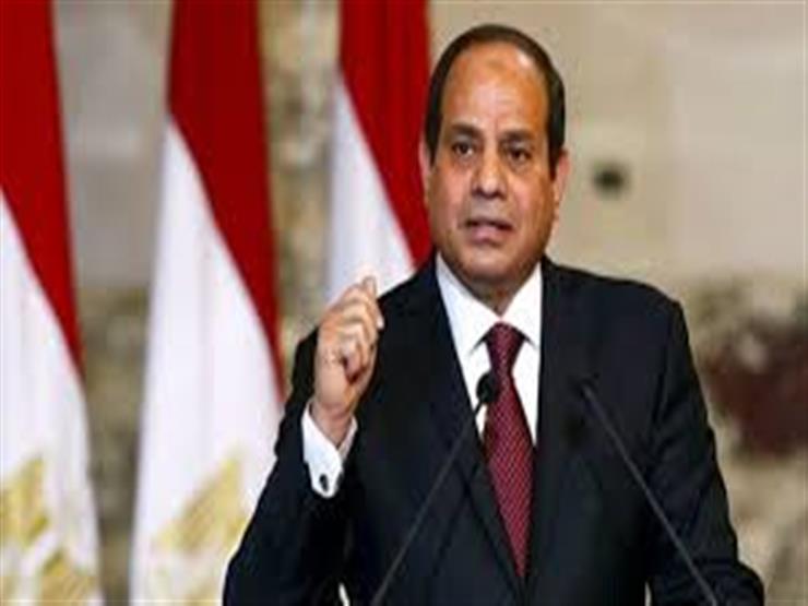 متحدث "النواب": السيسي راهن على مستقبل مصر على حساب شعبيته