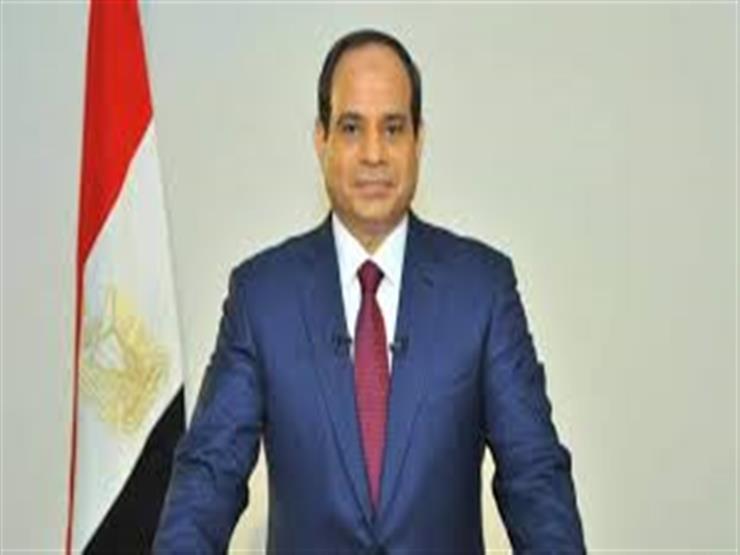 نقيب الصحفيين: السيسي "رمز لمصر".. ومنافسته في الانتخابات صعبة