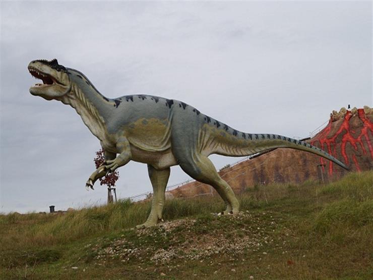 مدير مركز الحفريات بجامعة المنصورة: ديناصور الواحات عمره 70 مليون عام