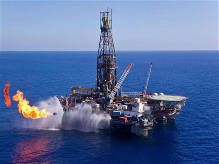 نقابة البترول: اكتشاف 20 حقلًا شبيهًا بـ"ظُهر" في البحر الأحمر- فيديو