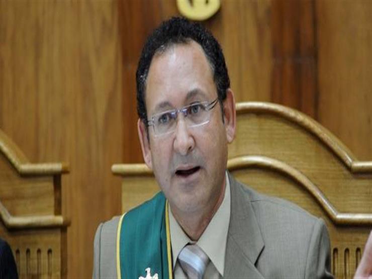 نائب رئيس مجلس الدولة: منح الرئيس سلطات واسعة يجعل الدولة قوية نائب رئيس مجلس الدولة: منح الرئيس سلطات واسعة يجعل الدولة قوية