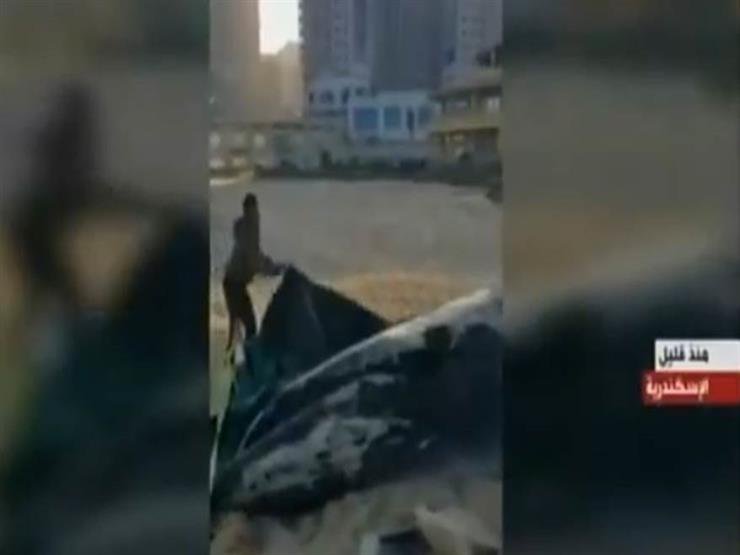 البيئة تكشف عن مصير الحوت النافق بشواطئ الإسكندرية