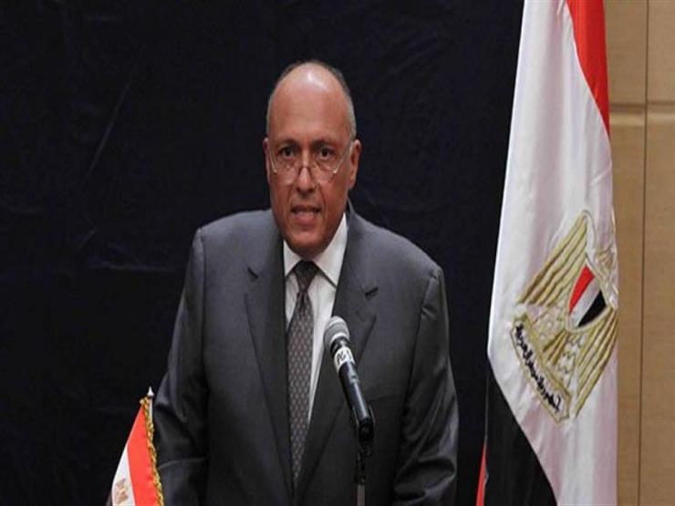 تعليق وزير الخارجية على سحب السودان لسفيره بالقاهرة -فيديو 