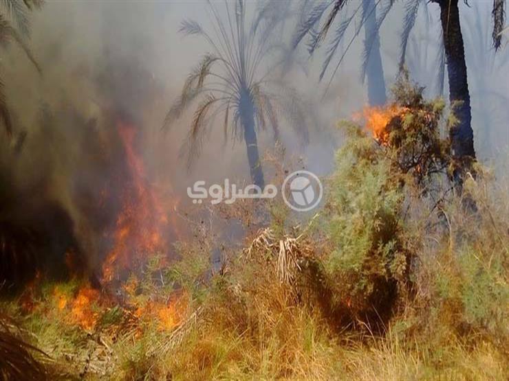 حكاية "عم فتحي" أحد متضرري حريق الراشدة