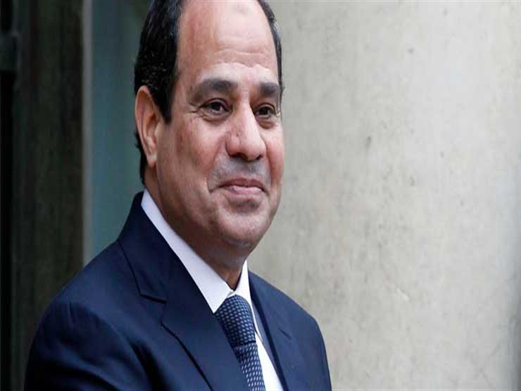 السيسي: 2011 علاج خاطئ لتشخيص خاطئ السيسي: 2011 علاج خاطئ لتشخيص خاطئ
