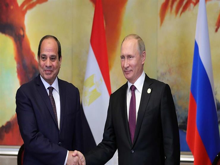 القليوبي: التبادل التجاري بين روسيا ومصر محدود لهذه الأسباب