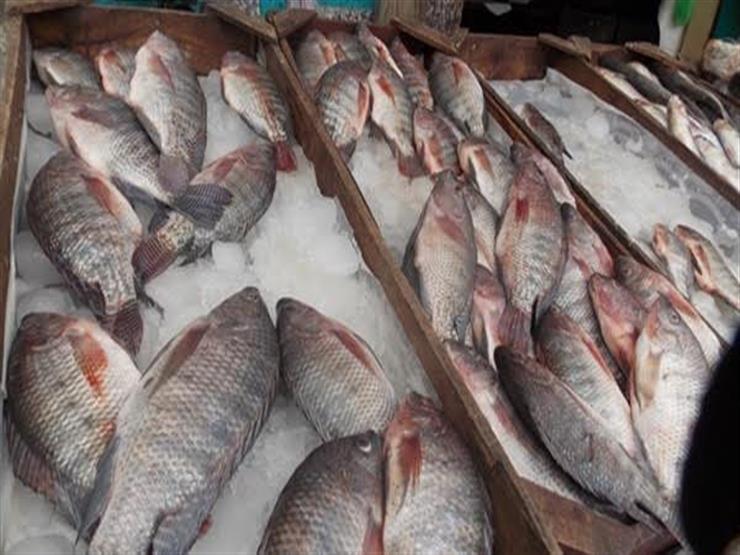 ارتفاع السمك البلطي في سوق العبور اليوم الأحد