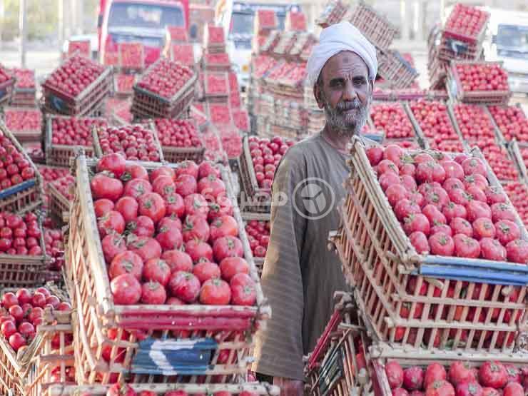 الفيومي يكشف عن موعد وسبب خفض أسعار البطاطس والطماطم