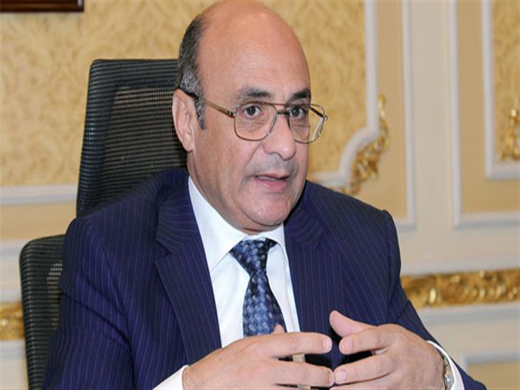 وزير العدل: لا يوجد في مصر اعتقال سياسي