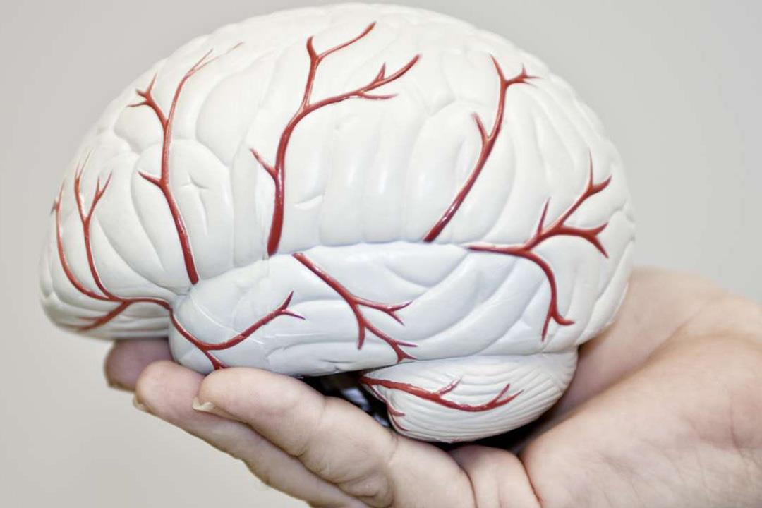 علاج مضمون وسريع للشفاء من استسقاء المخ.. (فيديو)