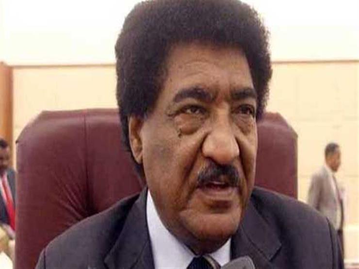 سفير السودان بمصر: التضامن العربي يحول النكسات إلى انتصارات