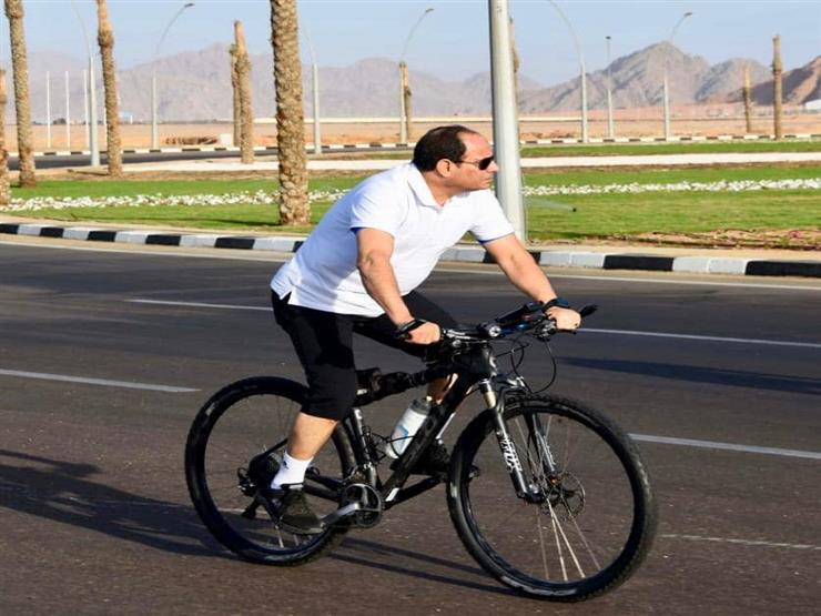 ضمن مبادرة "هدية الرئيس".. عقد ملكية مكتبة جديدة من "مستقبل وطن" لمجند العلمين ضمن مبادرة "هدية الرئيس".. عقد ملكية مكتبة جديدة من "مستقبل وطن" لمجند العلمين